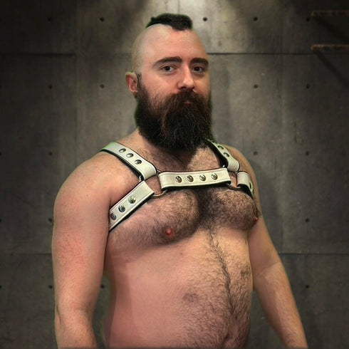 Bold Bulldog Harness